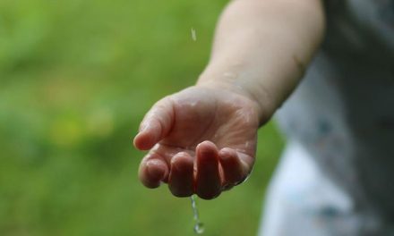 Más de 40.000 escolares aprenderán buenos hábitos para el cuidado del agua en la Comunidad