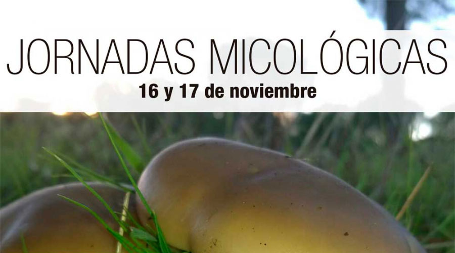 Pozuelo de Alarcón celebra este fin de semana unas jornadas micológicas
