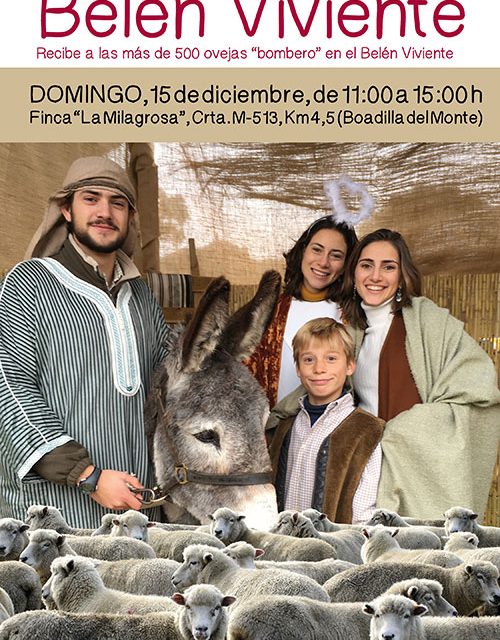Las «ovejas-bombero» llegarán el domingo a La Milagrosa y participarán en el Belén viviente