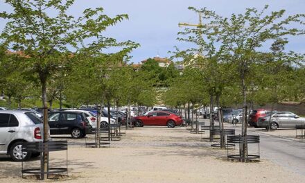 El Ayuntamiento instala 125 protectores de árboles en la zona de estacionamiento ecológico del palacio del Infante D. Luis