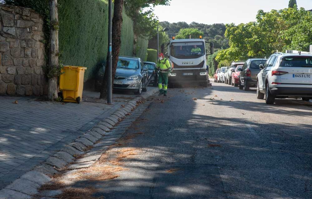 El Ayuntamiento de Boadilla refuerza los trabajos de barrido de pinocha en las urbanizaciones históricas