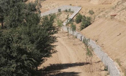 Finaliza la restauración de los cauces de los arroyos Prado Chico y Prado Grande, en Cortijo Sur