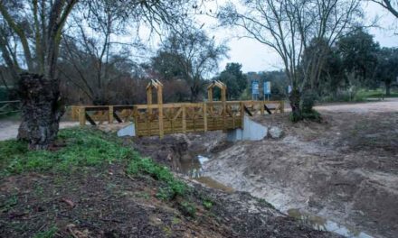 Finalizan los trabajos de restauración de la pasarela de acceso al monte desde el polideportivo Ángel Nieto