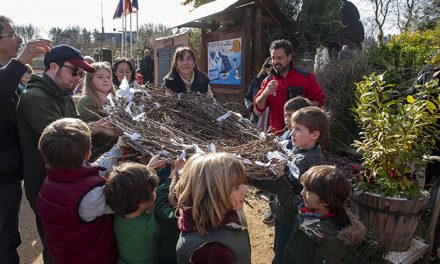 Los jóvenes del programa de voluntariado ambiental construyen y colocan un nido de cigüeñas en el Aula de Educación Ambiental