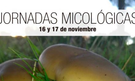 Pozuelo de Alarcón celebra este fin de semana unas jornadas micológicas