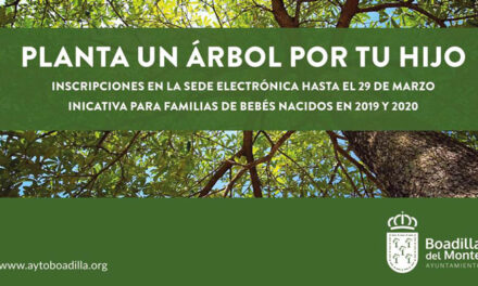 Los niños nacidos en 2019 y 2020 podrán tener un árbol en Boadilla que recuerde su nacimiento