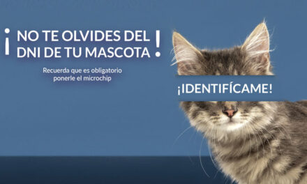 Boadilla inicia una campaña de concienciación para identificar con microchip a todas las mascotas