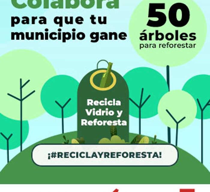 Boadilla participa en la campaña «Recicla vidrio y reforesta», promovida por Ecovidrio