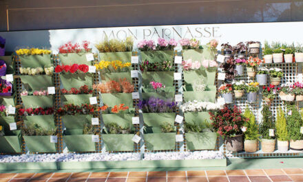 Mon Parnasse, una floristería que conquista todos tus sentidos para disfrutar de las plantas