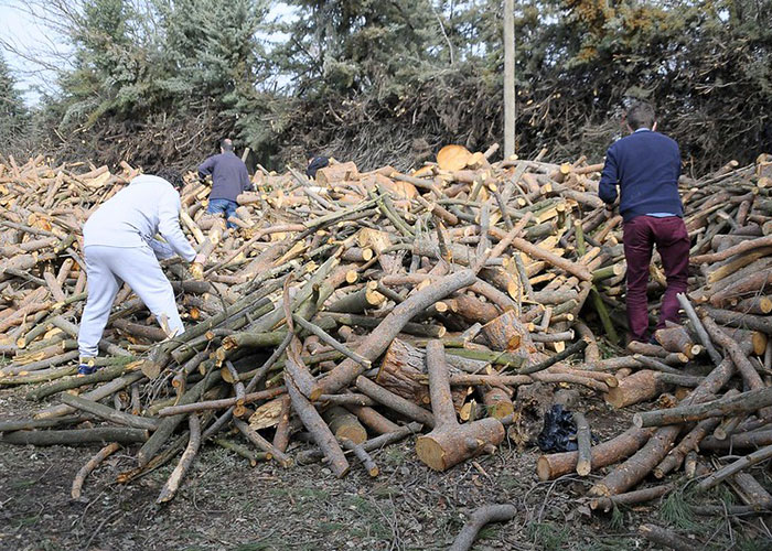 Abierta la inscripción hasta el próximo día 14 para recoger leña procedente del monte los días 16, 17 y 18 de marzo