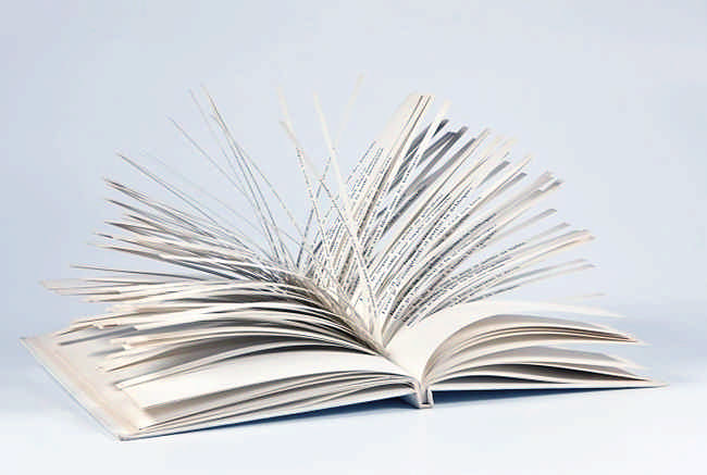 El libro que nadie terminó de leer