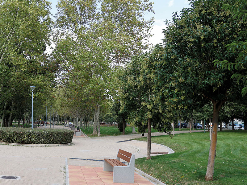 Los parques de Pozuelo de Alarcón permanecen cerrados este lunes por fuertes vientos