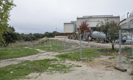 El Ayuntamiento de Boadilla creará más de 50 plazas de aparcamiento en el entorno del colegio Highland Los Fresnos