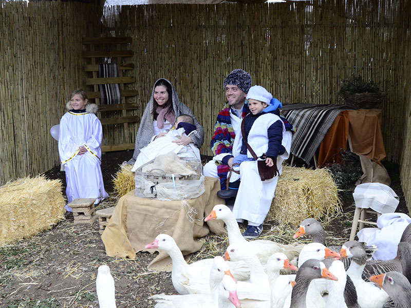 <strong>El Belén viviente y la llegada de las ovejas marcarán la jornada navideña en La Milagrosa el próximo domingo</strong>