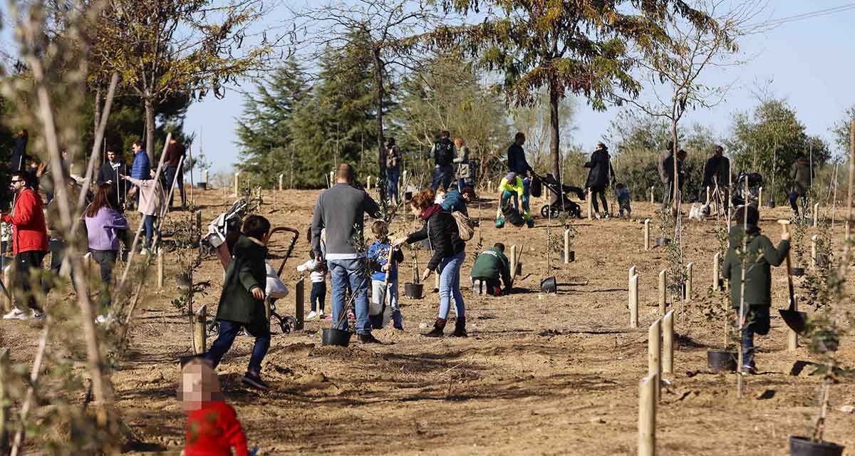 El Ayuntamiento de Pozuelo aprueba el Plan Parcial de Somosaguas Norte