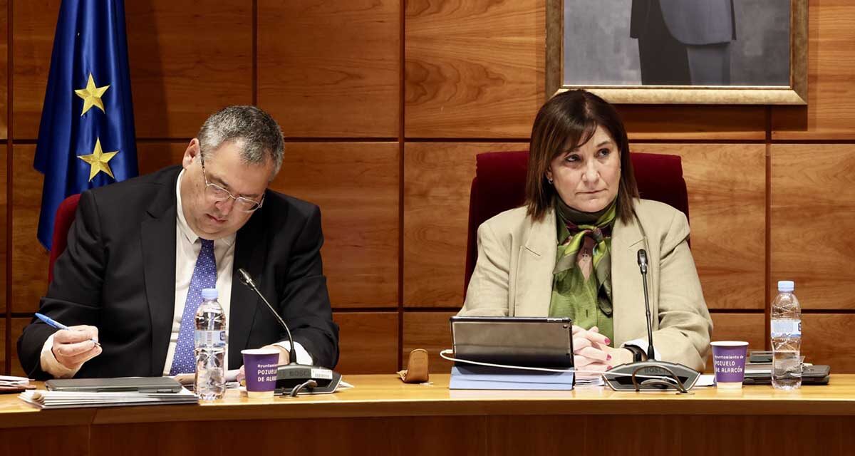 <strong>El Pleno aprueba una Declaración institucional de apoyo a los afectados por el terremoto de Turquía y Siria</strong>