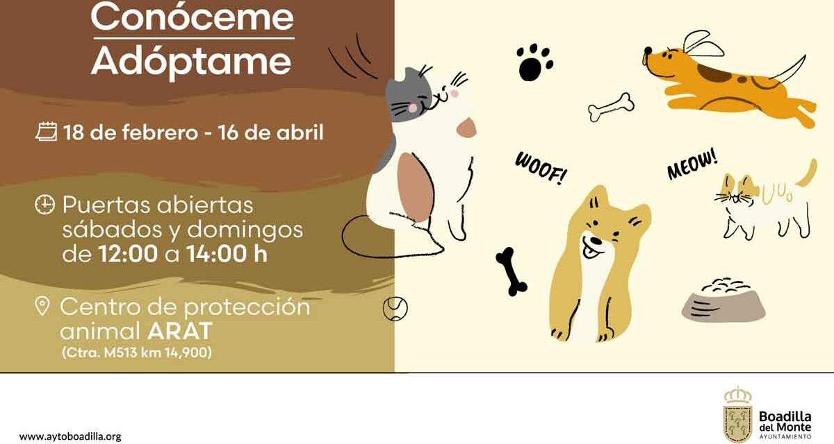 <strong>Boadilla apoya la iniciativa #ConócemeyAdóptame, para la adopción de animales</strong>