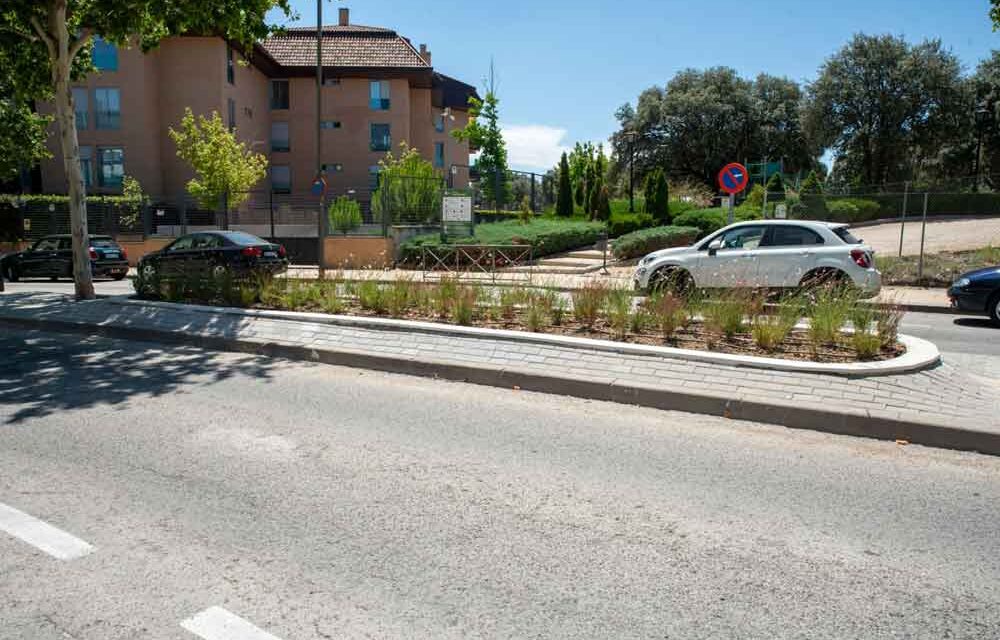Finaliza la construcción de jardineras en la mediana de la calle Junta de Castilla y León