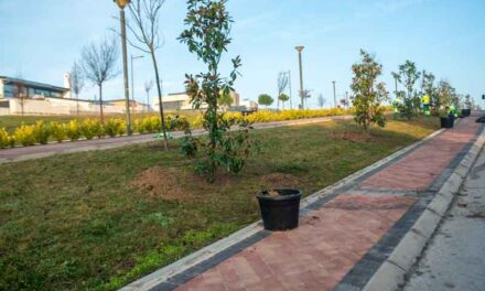 El Ayuntamiento ha iniciado la campaña de plantación de mil árboles en parques y calles del municipio