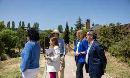 El Ayuntamiento de Pozuelo realiza importantes mejoras en zonas verdes y aceras de Somosaguas Centro