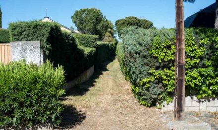 El Ayuntamiento de Boadilla realiza labores de limpieza y desbroce en las zonas verdes municipales