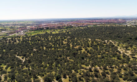 El Ayuntamiento traslada a los vecinos las pautas a seguir para evitar los incendios forestales