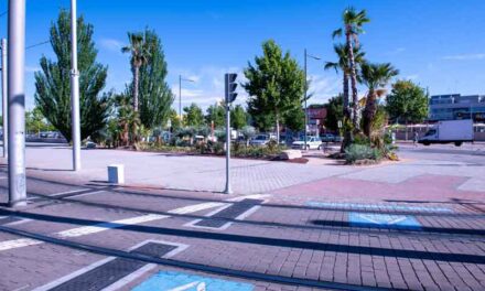 El Ayuntamiento crea un xerojardín en Puerta de Boadilla, con palmeras y plantas de bajo consumo hídrico