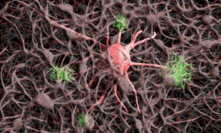 Pozuelo de Alarcón seguirá apoyando iniciativas para mejorar la calidad de vida de los enfermos de Alzheimer y Parkinson