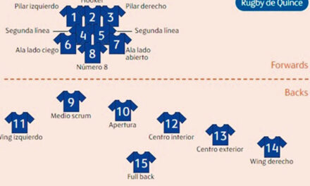 Descripción del rugby y posiciones (II)
