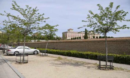 El arbolado ocupa el 30,8 % de la superficie de Boadilla, según un estudio del Politécnico di Torino y la UPM