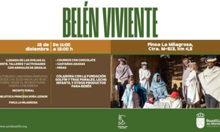 Las ovejas vuelven a la finca La Milagrosa para acompañar al belén viviente el próximo domingo
