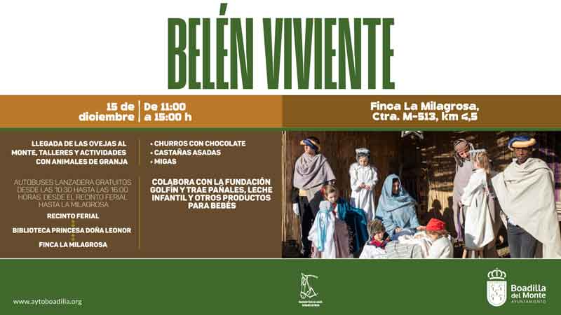 Las ovejas vuelven a la finca La Milagrosa para acompañar al belén viviente el próximo domingo