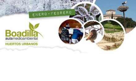 El Aula Medioambiental ofrece en enero y febrero talleres, rutas y actividades de voluntariado