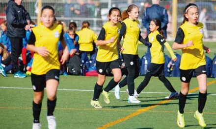 CD Nuevo Boadilla. Del Boadilla Fútbol Club al Club de Fútbol Nuevo Boadilla, toda una historia
