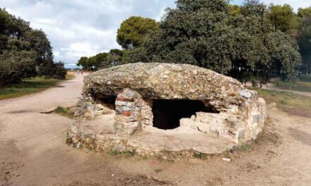 Fortines de la Guerra Civil en Las Rozas: tras la Batalla de la Niebla