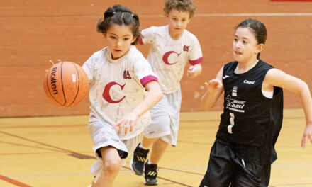 Deporte y educación: un pilar fundamental en la formación escolar