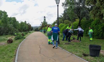 Mayores de Boadilla participan en una plantación de arbolado junto al Parque del Pilar