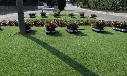 El Ayuntamiento planta más de 20.000 flores de temporada esta primavera