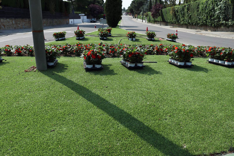 El Ayuntamiento planta más de 20.000 flores de temporada esta primavera