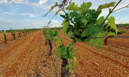Un pulso constante a la normativa laboral para el campo