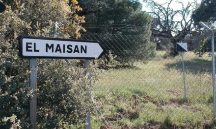 Pozuelo de Alarcón reforzará el cuidado de sus zonas forestales para prevenir incendios 
