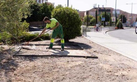El Ayuntamiento mejora las medianas entre carretera de Majadahonda y el jardín de olivos de la calle Isabel II
