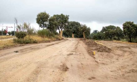 Avanza la mejora de la senda ciclable que discurre paralela a la M-516 hasta la urbanización Los Fresnos B