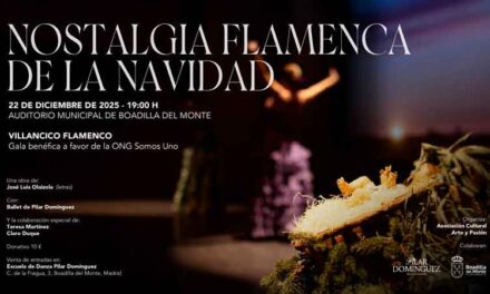 El Auditorio acogerá el próximo día 22 el espectáculo de música y danza Nostalgia Flamenca de la Navidad