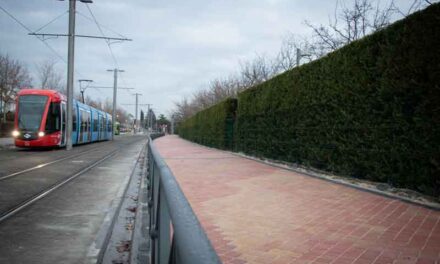 Finaliza el acerado de carretera de Villaviciosa, entre el parque de los Bomberos y la entrada al Recinto Ferial