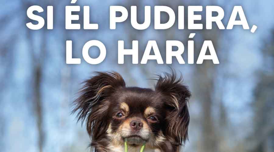Pozuelo de Alarcón relanza la campaña ‘Si él pudiera, lo haría’ para la recogida de excrementos caninos