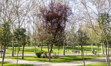 Pozuelo de Alarcón, una de las ciudades del mundo con mejor arbolado urbano