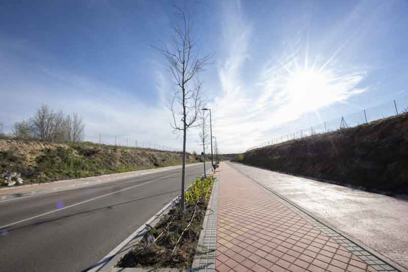 Boadilla implanta alcorques vivos en avenida Tercios de la Legión para ganar biodiversidad y mejorar el espacio