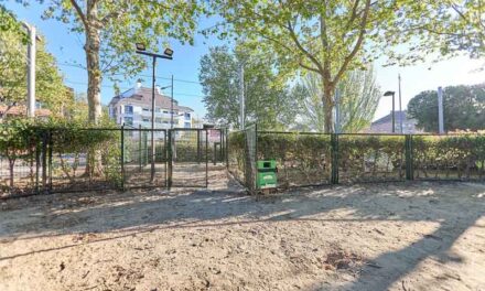 El Ayuntamiento mejora el área canina del parque Boadilla Centro