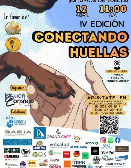 Pozuelo de Alarcón celebra este domingo una carrera solidaria contra el maltrato animal